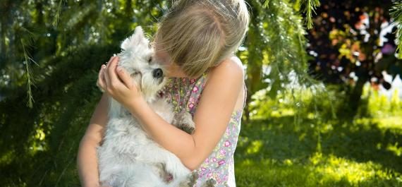 Animali domestici Bolzano e dintorni