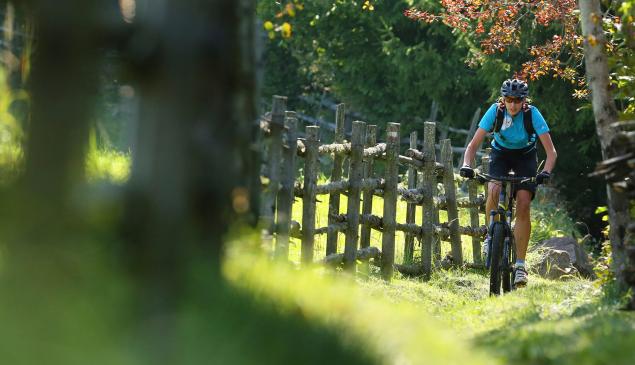 A mountain biker on a narrow path through the green countryside with a wooden fence and trees.
